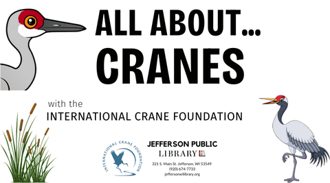 Text reads, "All About...Cranes with the International Crane Foundation".