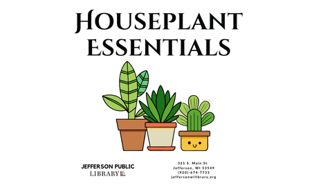 image of three houseplants